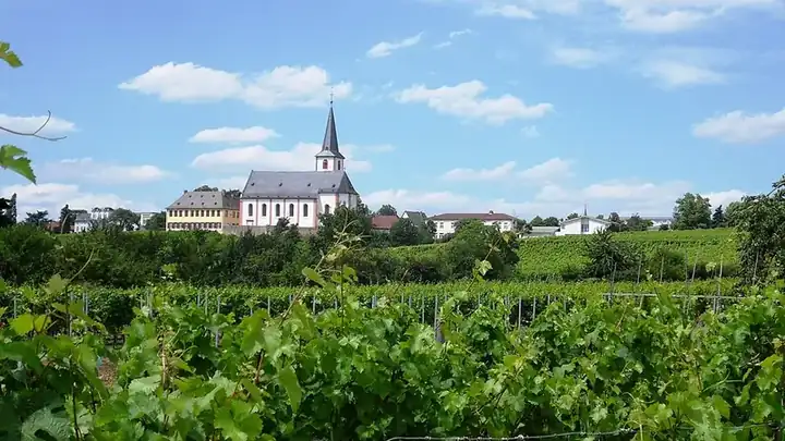 Ansicht von Hochheim am Main